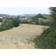 Properties for Sale_La Casetta in Campagna in Le Marche_5